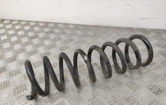Rear coil spring