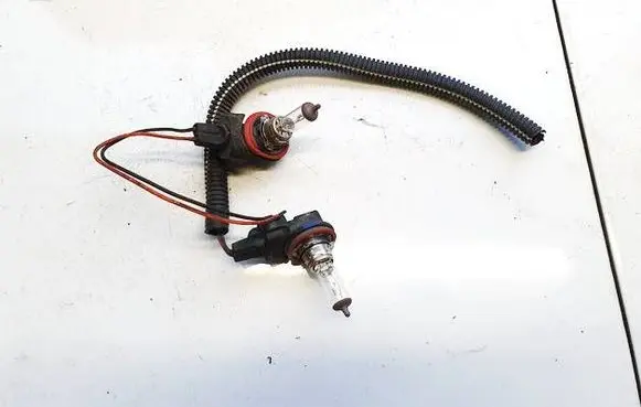 Renault Megane II Rear tail light bulb h1112v55wu 64211