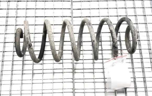 Rear coil spring