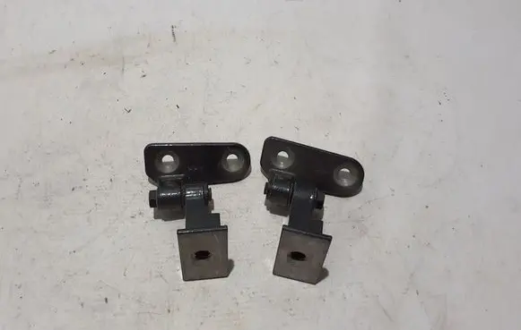 BMW X5 G05 Front door upper hinge 7333062