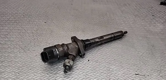 Peugeot 607 Fuel injector 0445110036