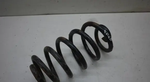 Rear coil spring