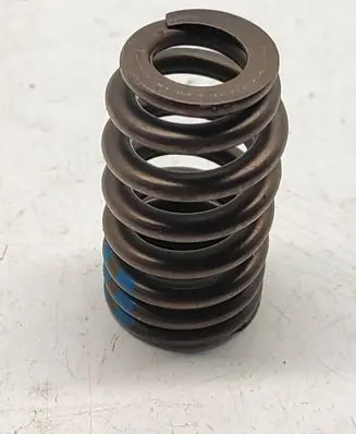 Dodge Challenger Valve spring 5037382BC