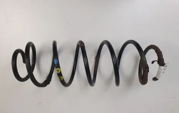 Rear coil spring
