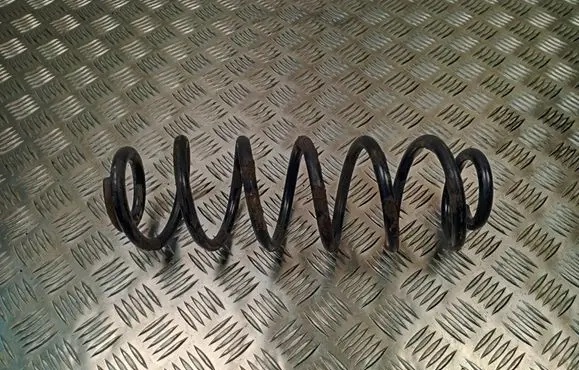 Rear coil spring