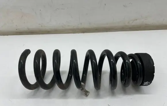 Rear coil spring