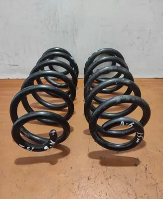 Rear coil spring