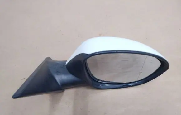 BMW Z4 E89 Front door electric wing mirror 7195313 E1021031