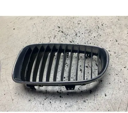 BMW 1 E81 E87 Front bumper upper radiator grill 7166439