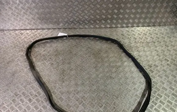 BMW 7 G11 G12 Rear door rubber seal (on body) 7336046