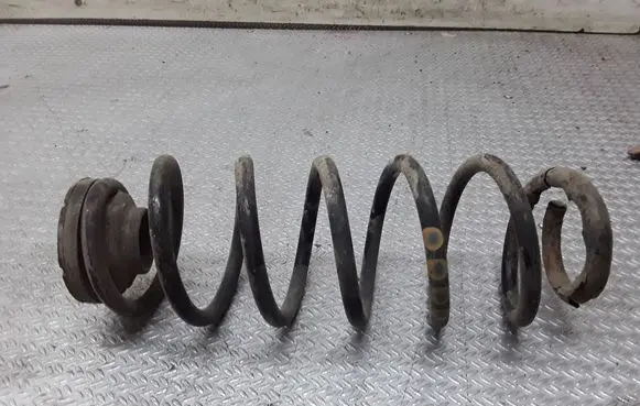 Rear coil spring