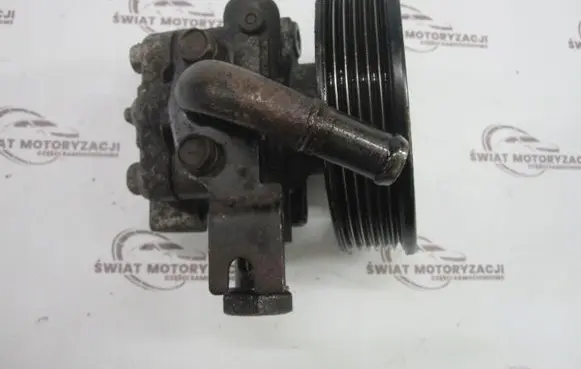 Hyundai Santa Fe Power steering pump 517GB