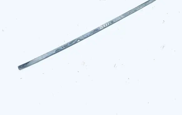 Rear door glass trim molding