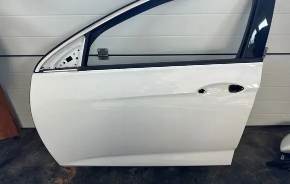Opel Insignia B Front door 09860