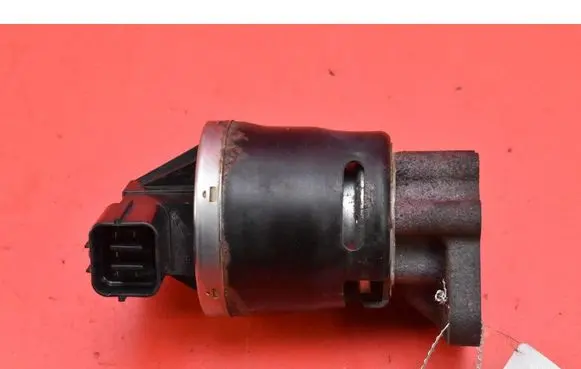 EGR valve