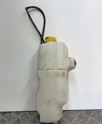 Renault Twingo III Windshield washer fluid reservoir/tank A4538600060 289105267R