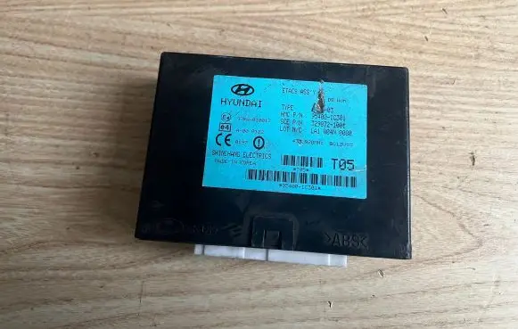 Hyundai Getz Other control units/modules 954001C301