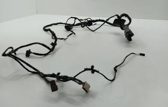 Front door wiring loom