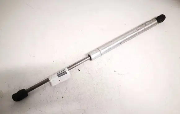 Tailgate/trunk strut/damper