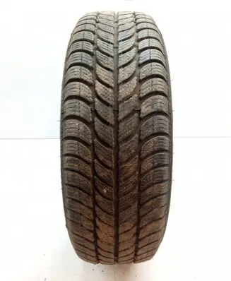 Fiat Punto (188) R14 winter tire 