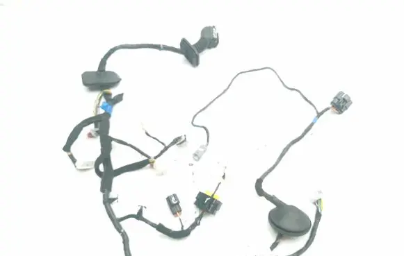 Hyundai Santa Fe Rear door wiring loom 916002W880