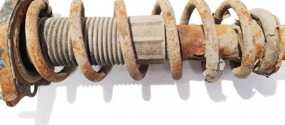 Toyota Corolla Verso AR10 Rear coil spring