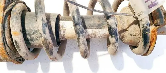 Rear coil spring