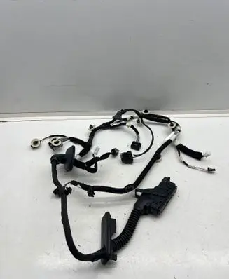 Front door wiring loom