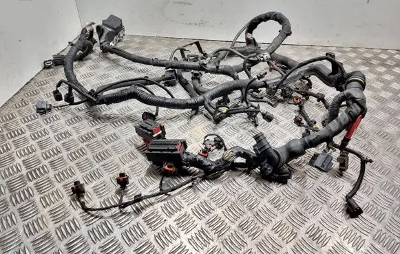 Engine installation wiring loom