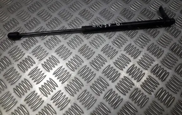 Tailgate/trunk strut/damper
