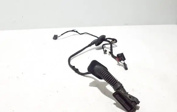 Cupra Formentor Other wiring loom 5FA971161J