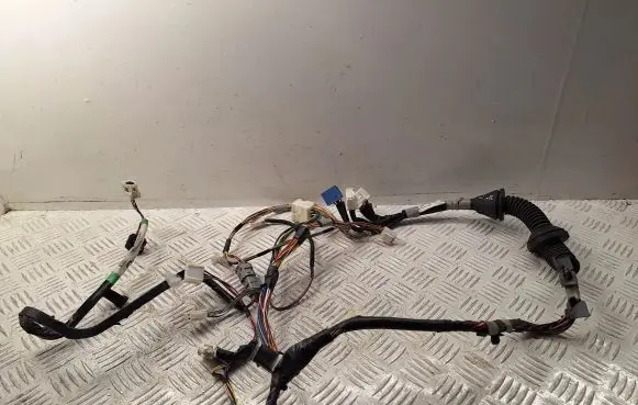 Front door wiring loom