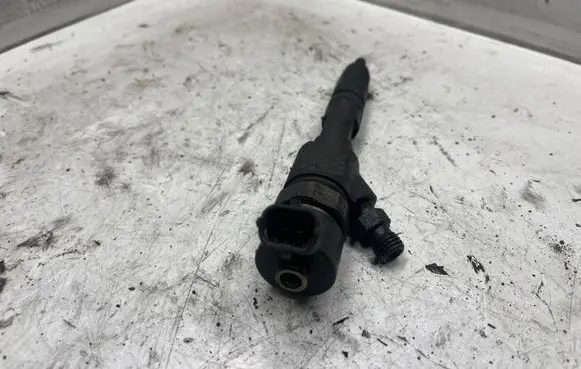 Renault Laguna II Fuel injector 8200389369