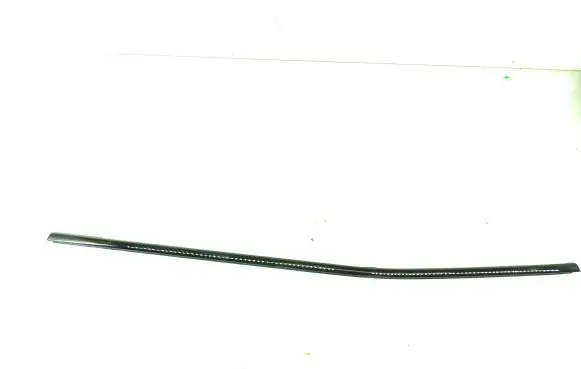 Rear door glass trim molding