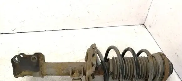 Front shock absorber with coil spring