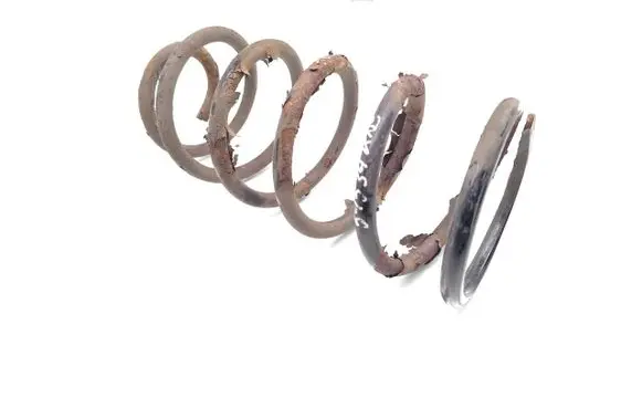 Rear coil spring