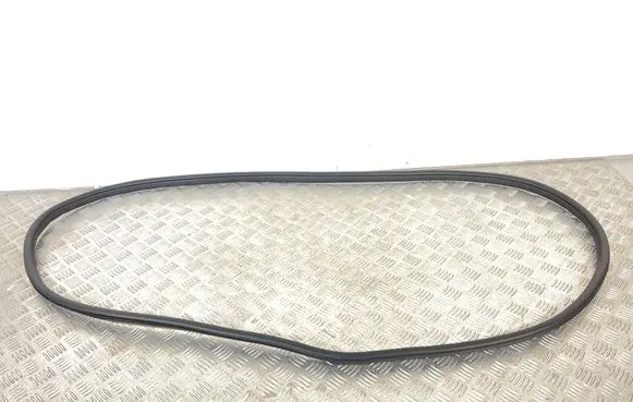 MG ZS Front door rubber seal 11409297