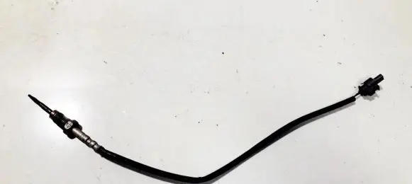 Exhaust gas temperature sensor