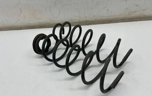 Rear coil spring