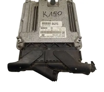 Hyundai Santa Fe Engine control unit/module 391032F440 0281017541