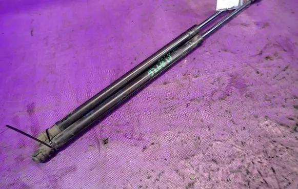 Tailgate strut