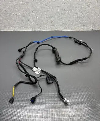 Hyundai Ioniq 5 Rear door wiring loom 91655 G1040