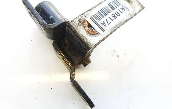 Rear door lower hinge