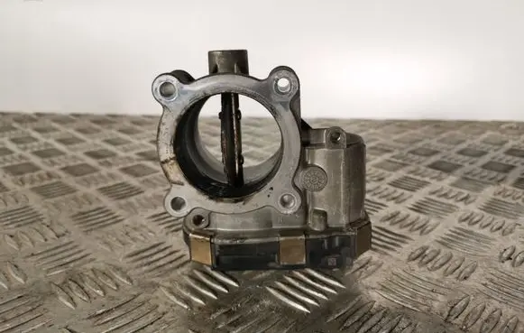 Opel Antara Throttle valve 251832382592