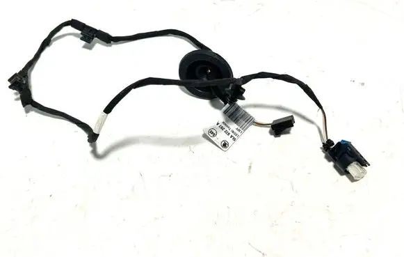 Front door wiring loom