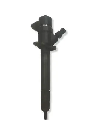 Volvo V70 Fuel injector 30750283