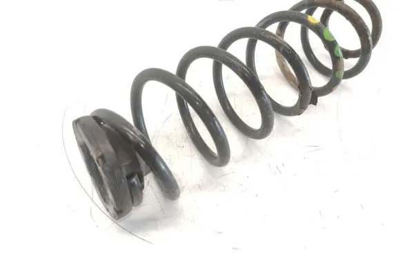 Rear coil spring