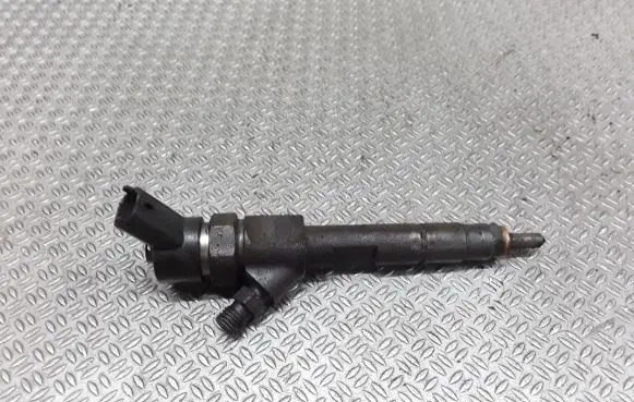 Renault Megane II Fuel injector 0445110110B