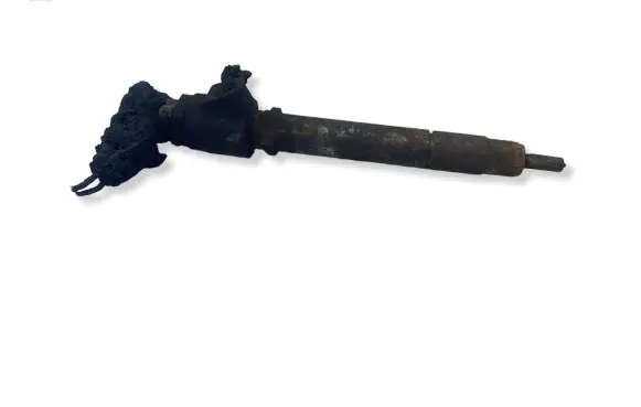 Land Rover Range Rover Sport L320 Fuel injector 
