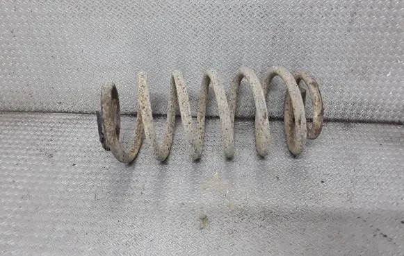 Jeep Grand Cherokee (WJ) Rear coil spring